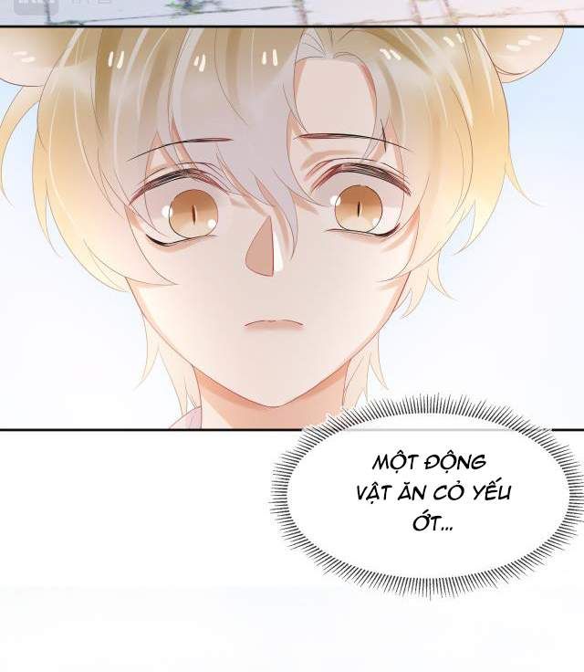 Một Ngụm Nuốt Trọn Thỏ Con Chapter 3 - Trang 2