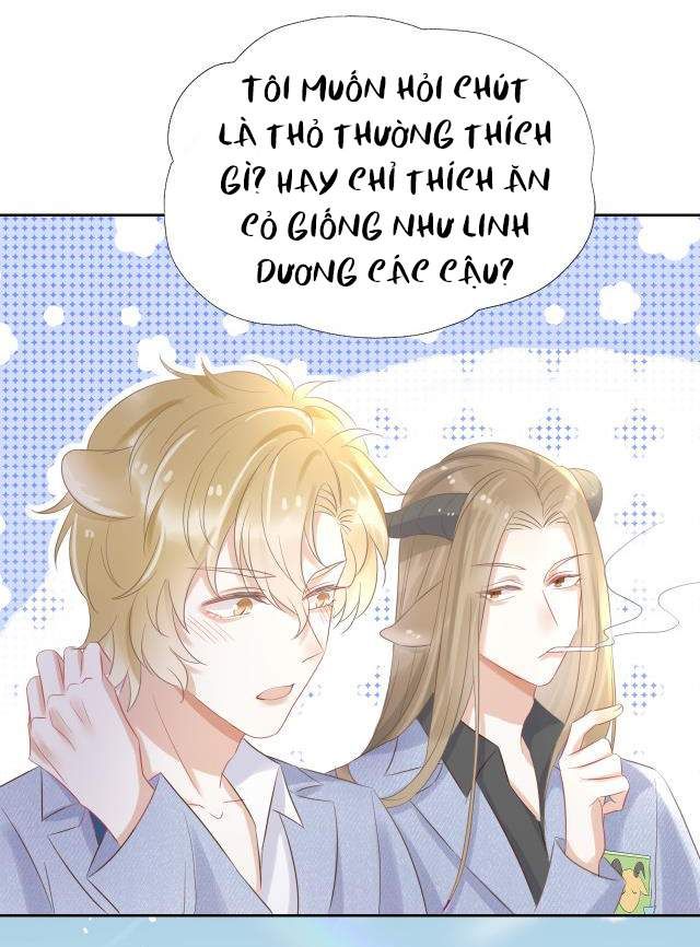 Một Ngụm Nuốt Trọn Thỏ Con Chapter 3 - Trang 2