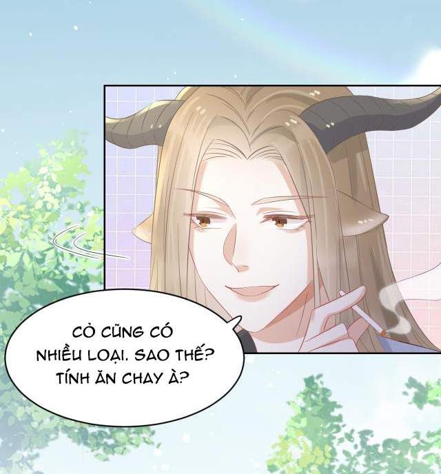 Một Ngụm Nuốt Trọn Thỏ Con Chapter 3 - Trang 2