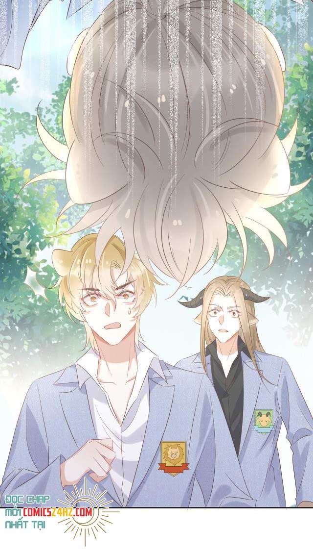 Một Ngụm Nuốt Trọn Thỏ Con Chapter 3 - Trang 2