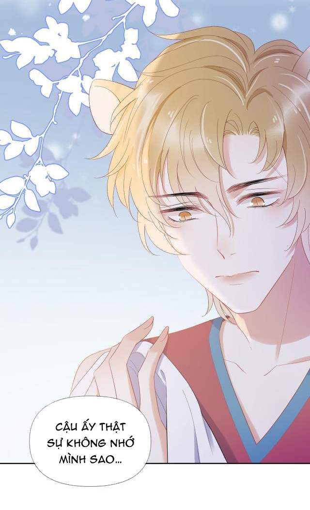 Một Ngụm Nuốt Trọn Thỏ Con Chapter 3 - Trang 2