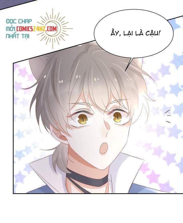 Một Ngụm Nuốt Trọn Thỏ Con Chapter 3 - Trang 2