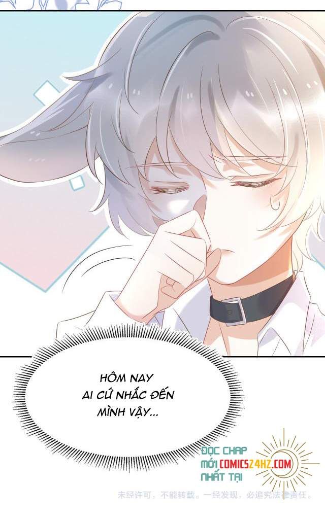 Một Ngụm Nuốt Trọn Thỏ Con Chapter 3 - Trang 2