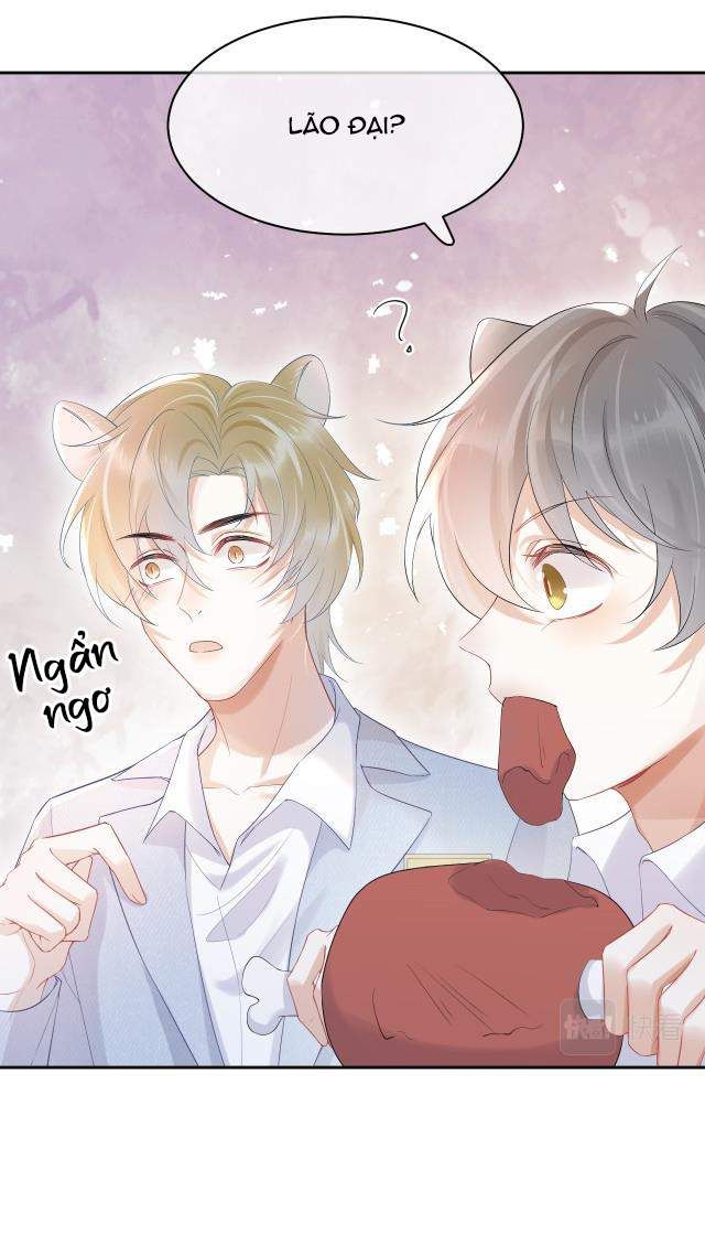 Một Ngụm Nuốt Trọn Thỏ Con Chapter 4 - Trang 2