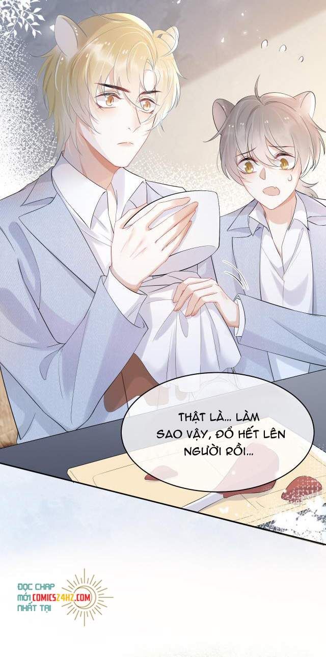 Một Ngụm Nuốt Trọn Thỏ Con Chapter 4 - Trang 2