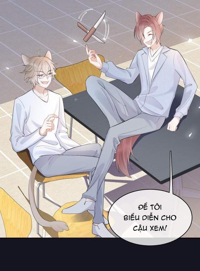 Một Ngụm Nuốt Trọn Thỏ Con Chapter 4 - Trang 2