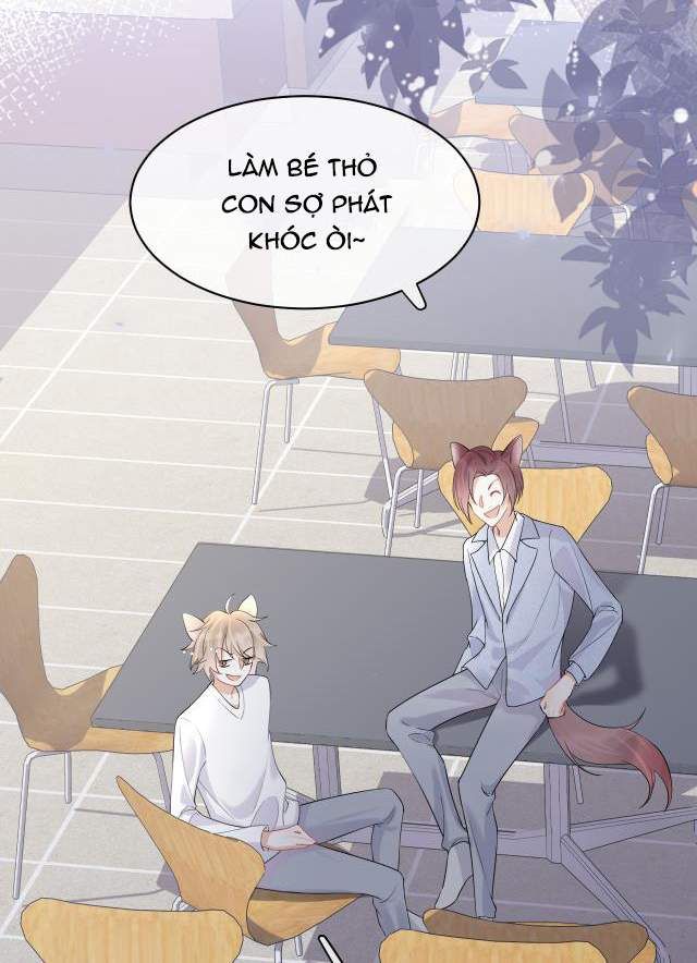 Một Ngụm Nuốt Trọn Thỏ Con Chapter 4 - Trang 2