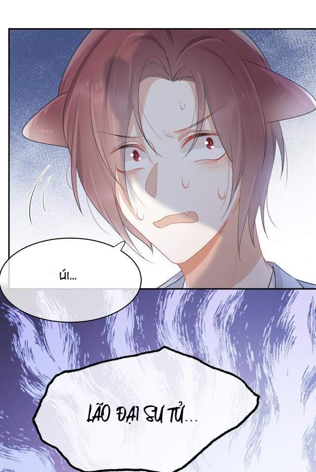 Một Ngụm Nuốt Trọn Thỏ Con Chapter 4 - Trang 2