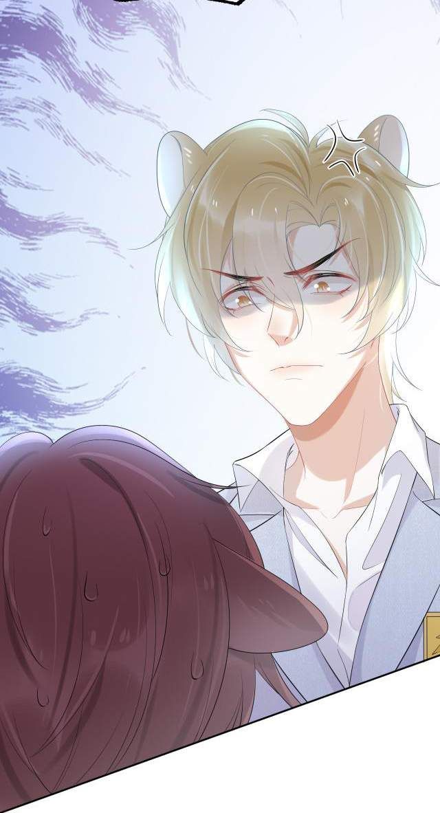 Một Ngụm Nuốt Trọn Thỏ Con Chapter 4 - Trang 2