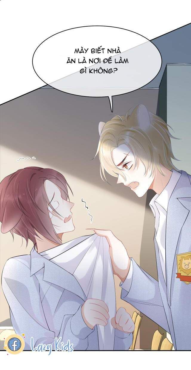 Một Ngụm Nuốt Trọn Thỏ Con Chapter 4 - Trang 2