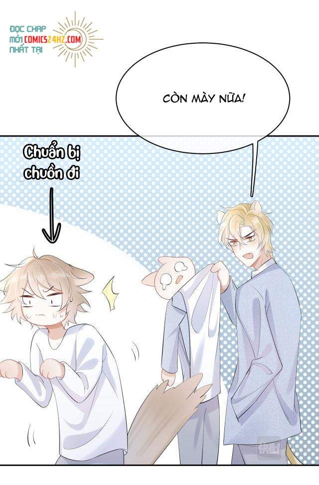 Một Ngụm Nuốt Trọn Thỏ Con Chapter 4 - Trang 2