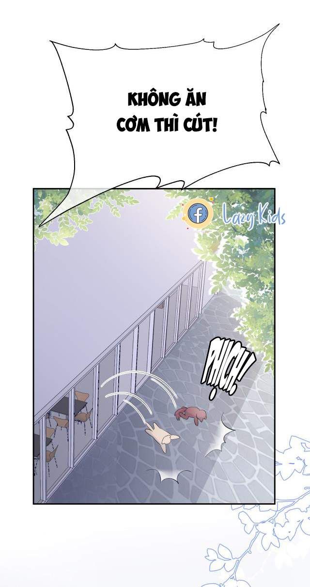 Một Ngụm Nuốt Trọn Thỏ Con Chapter 4 - Trang 2