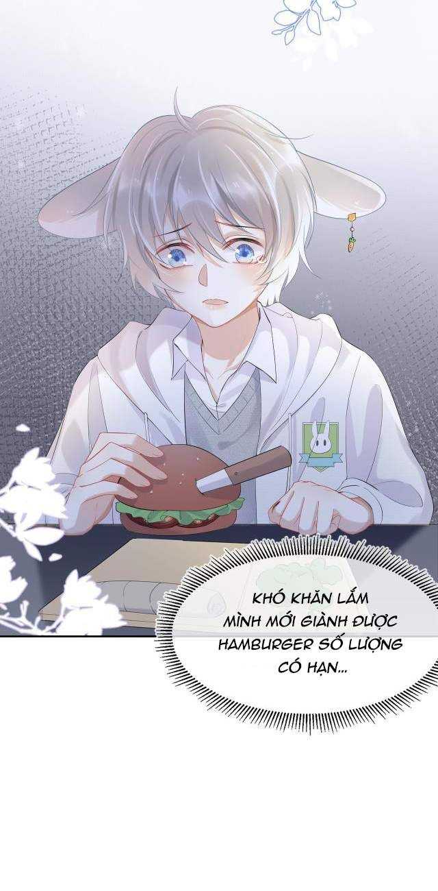 Một Ngụm Nuốt Trọn Thỏ Con Chapter 4 - Trang 2