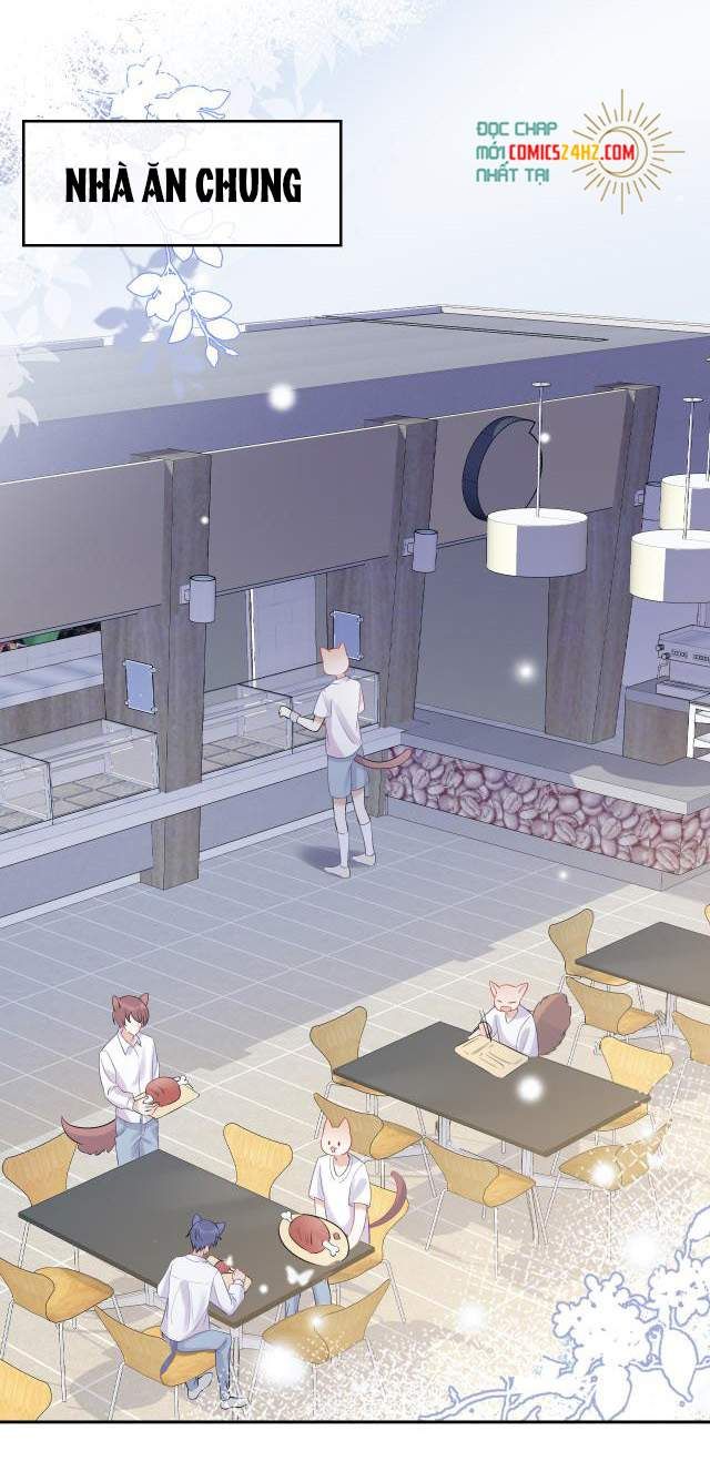 Một Ngụm Nuốt Trọn Thỏ Con Chapter 4 - Trang 2