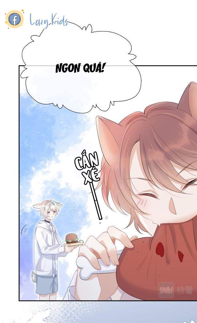 Một Ngụm Nuốt Trọn Thỏ Con Chapter 4 - Trang 2