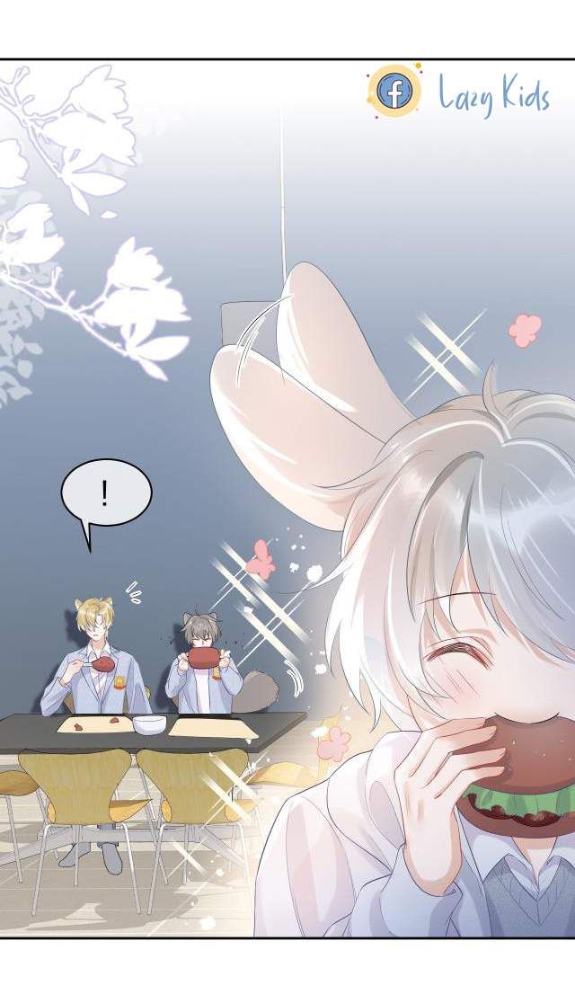 Một Ngụm Nuốt Trọn Thỏ Con Chapter 4 - Trang 2