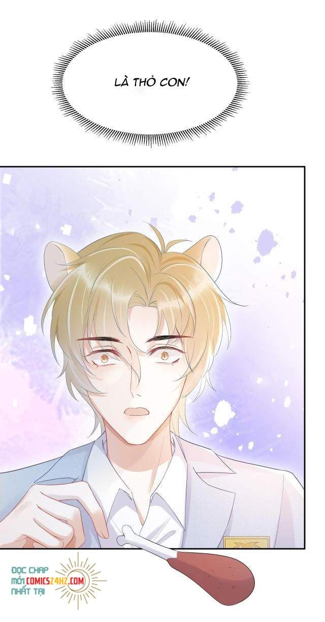 Một Ngụm Nuốt Trọn Thỏ Con Chapter 4 - Trang 2
