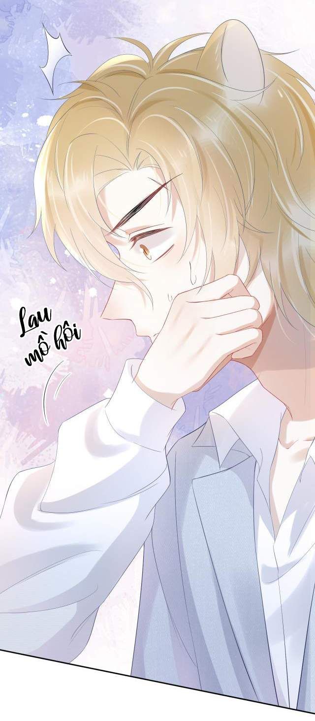 Một Ngụm Nuốt Trọn Thỏ Con Chapter 5 - Trang 2