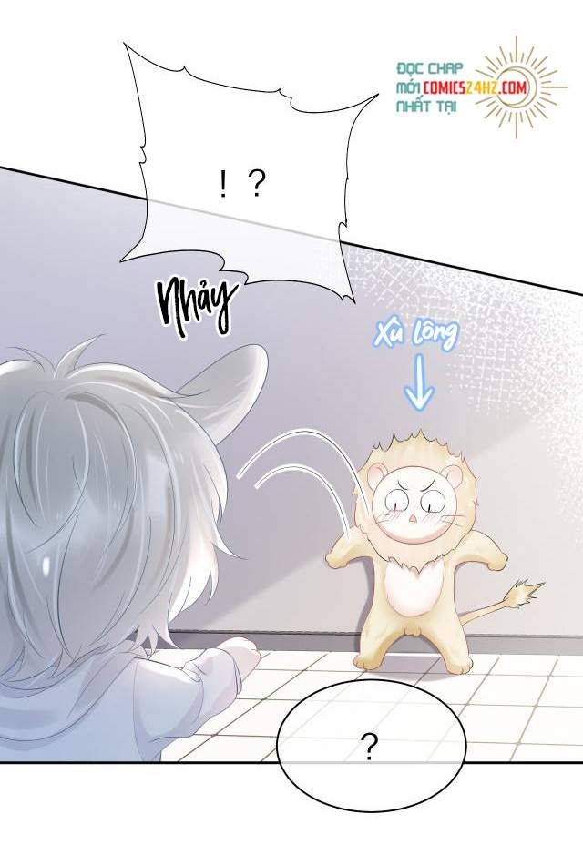 Một Ngụm Nuốt Trọn Thỏ Con Chapter 5 - Trang 2