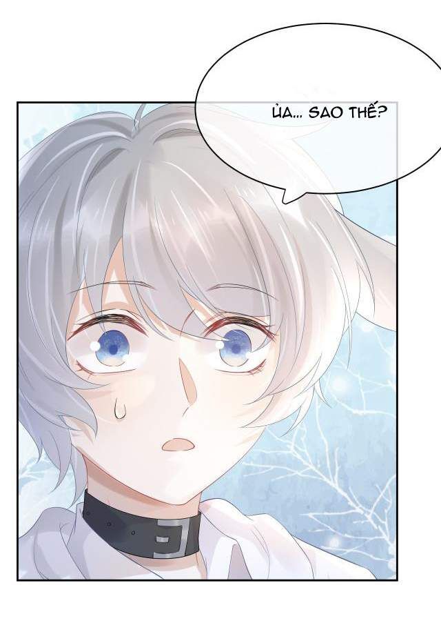 Một Ngụm Nuốt Trọn Thỏ Con Chapter 5 - Trang 2