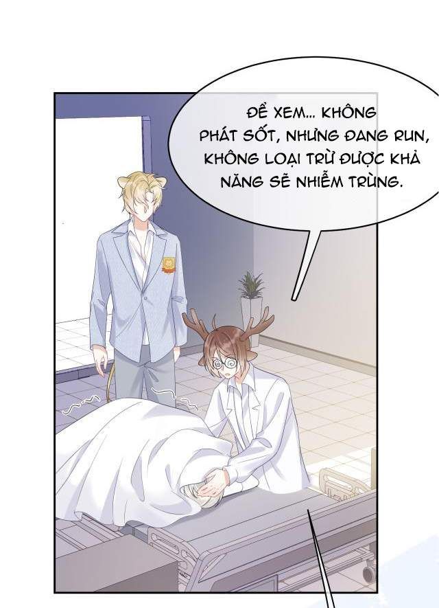 Một Ngụm Nuốt Trọn Thỏ Con Chapter 5 - Trang 2