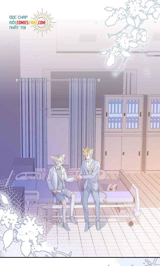Một Ngụm Nuốt Trọn Thỏ Con Chapter 5 - Trang 2