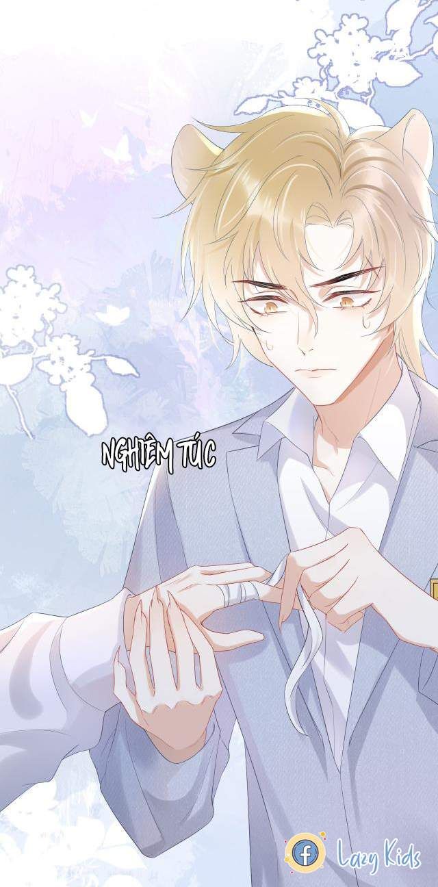 Một Ngụm Nuốt Trọn Thỏ Con Chapter 5 - Trang 2