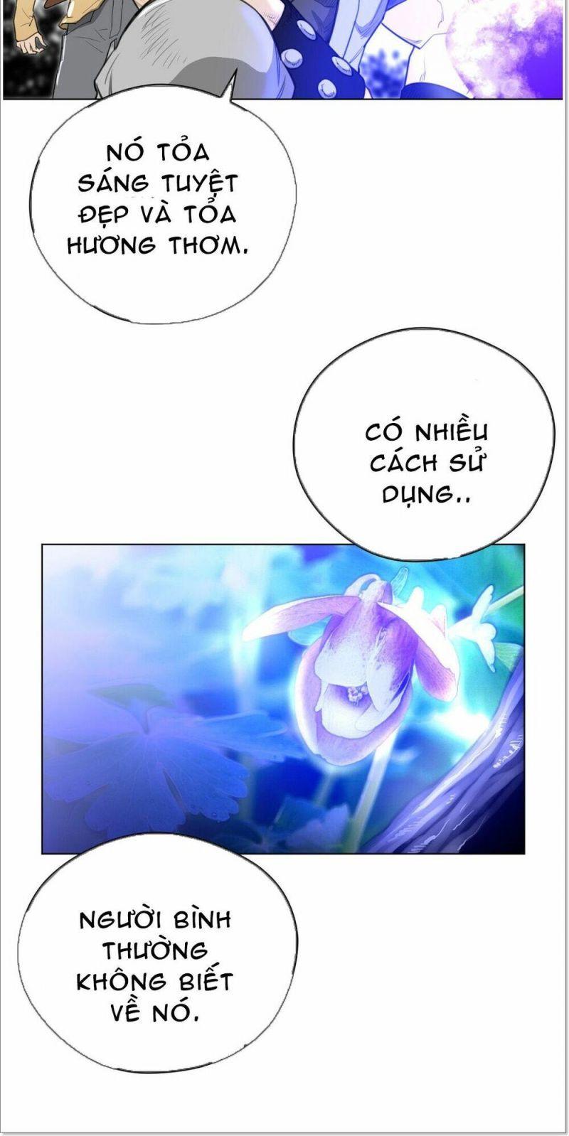 Một Nửa Hoànhảo Chapter 24 - Trang 2