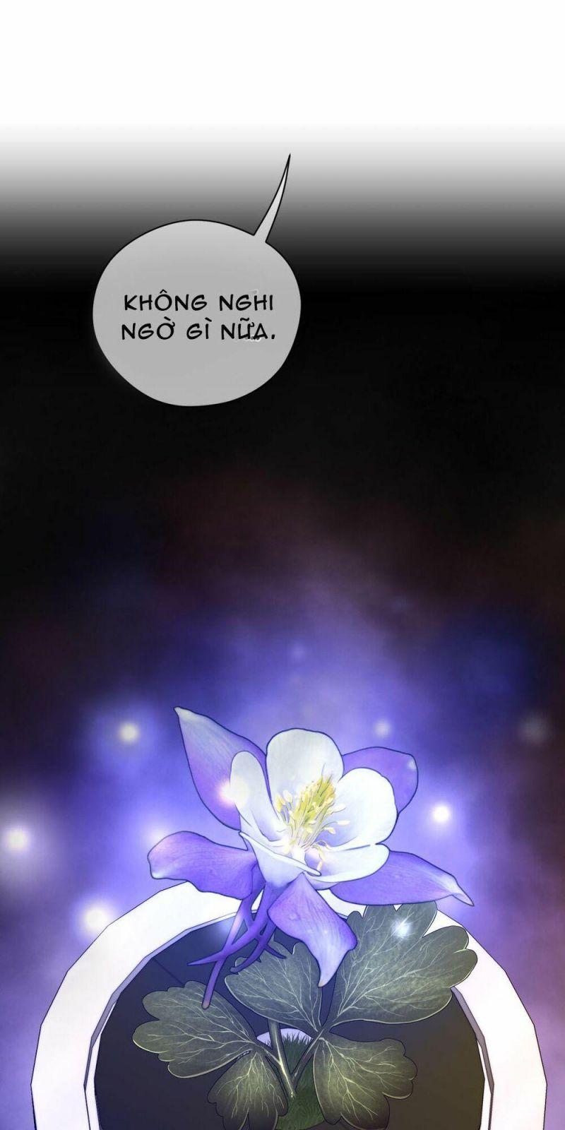 Một Nửa Hoànhảo Chapter 38 - Trang 2
