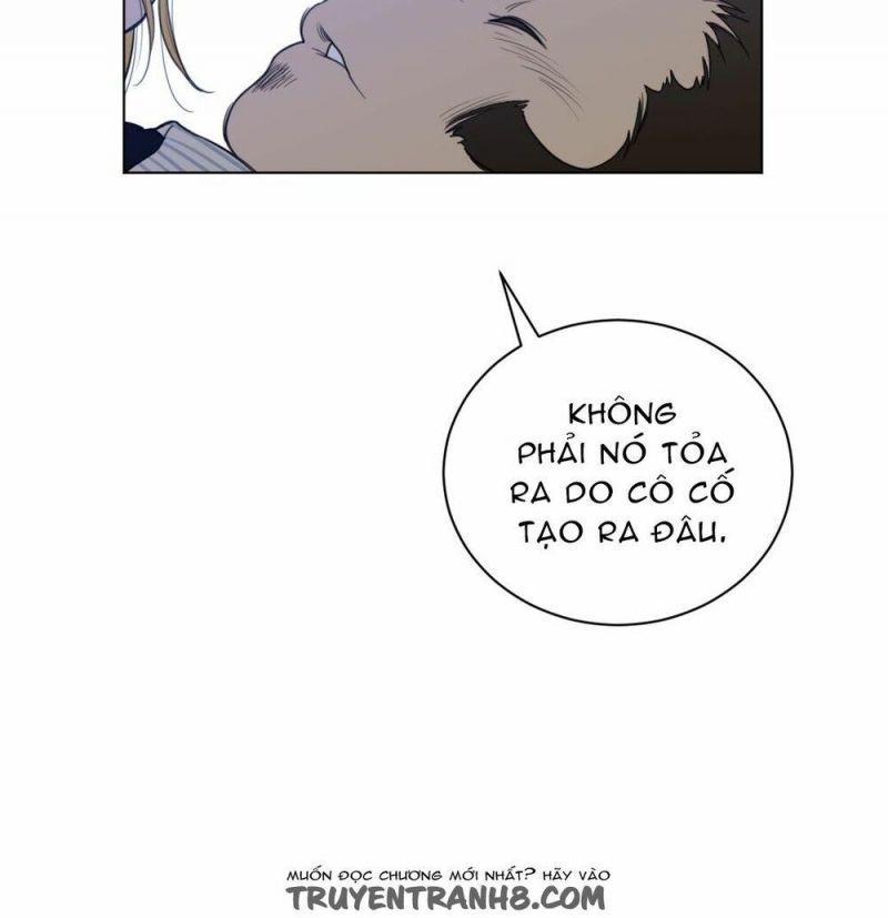 Một Nửa Hoànhảo Chapter 49 - Trang 2
