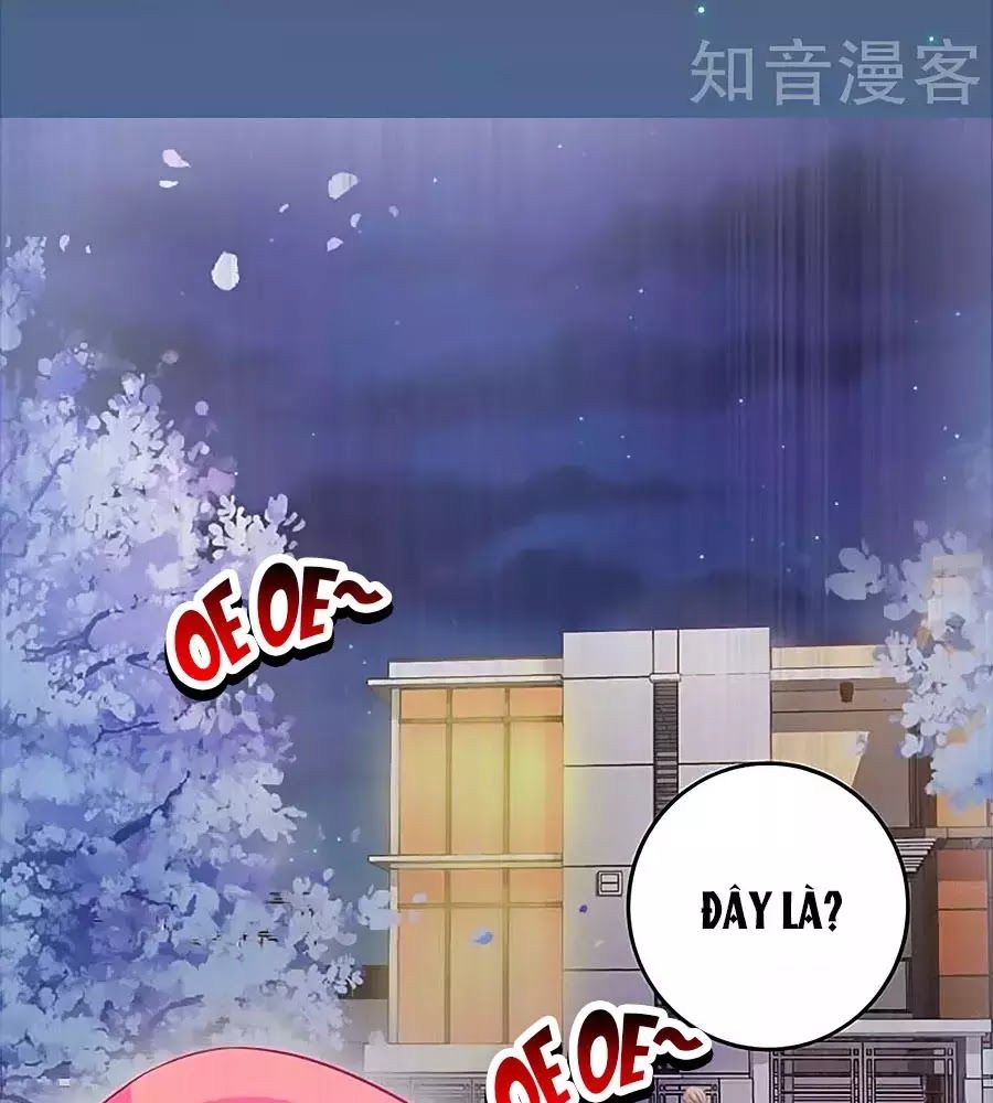 Một Thai Hai Bảo : Đưa Mami Về Nhà ! Chapter 115 - Trang 2