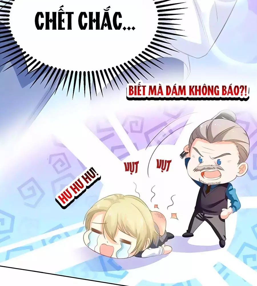 Một Thai Hai Bảo : Đưa Mami Về Nhà ! Chapter 116 - Trang 2