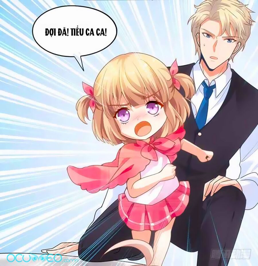 Một Thai Hai Bảo : Đưa Mami Về Nhà ! Chapter 15 - Trang 2