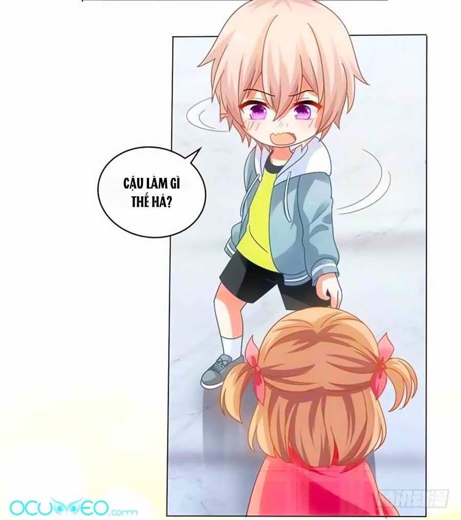 Một Thai Hai Bảo : Đưa Mami Về Nhà ! Chapter 15 - Trang 2