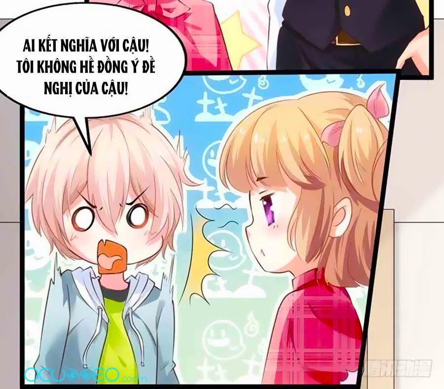 Một Thai Hai Bảo : Đưa Mami Về Nhà ! Chapter 15 - Trang 2