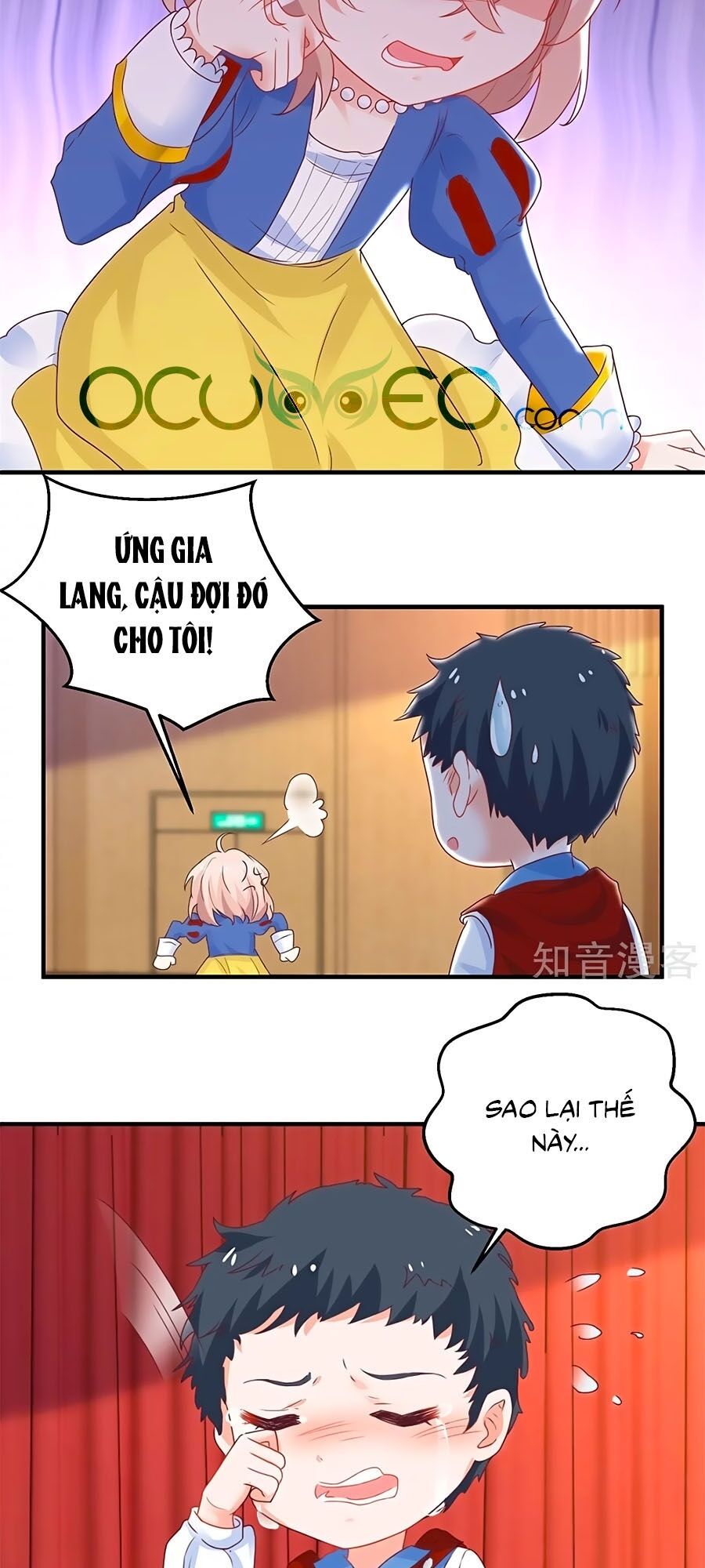 Một Thai Hai Bảo : Đưa Mami Về Nhà ! Chapter 216 - Trang 2