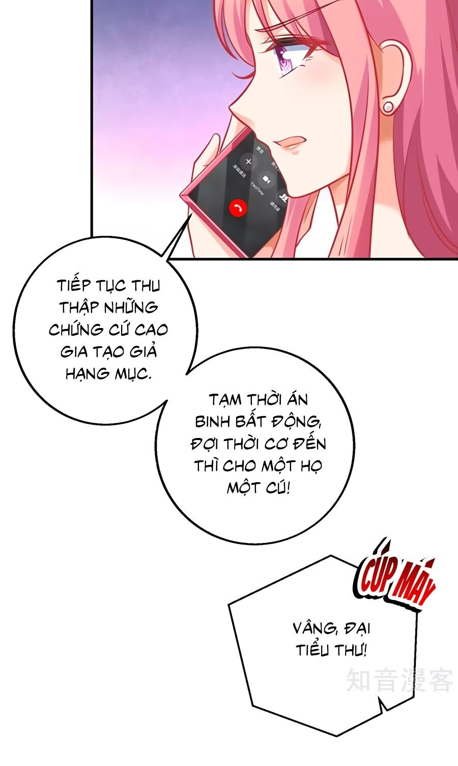 Một Thai Hai Bảo : Đưa Mami Về Nhà ! Chapter 226 - Trang 2