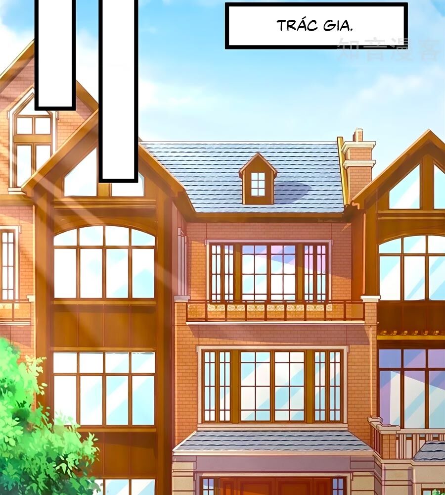 Một Thai Hai Bảo : Đưa Mami Về Nhà ! Chapter 227 - Trang 2