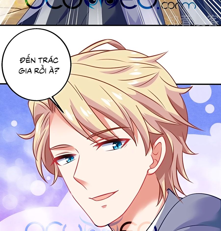 Một Thai Hai Bảo : Đưa Mami Về Nhà ! Chapter 229 - Trang 2