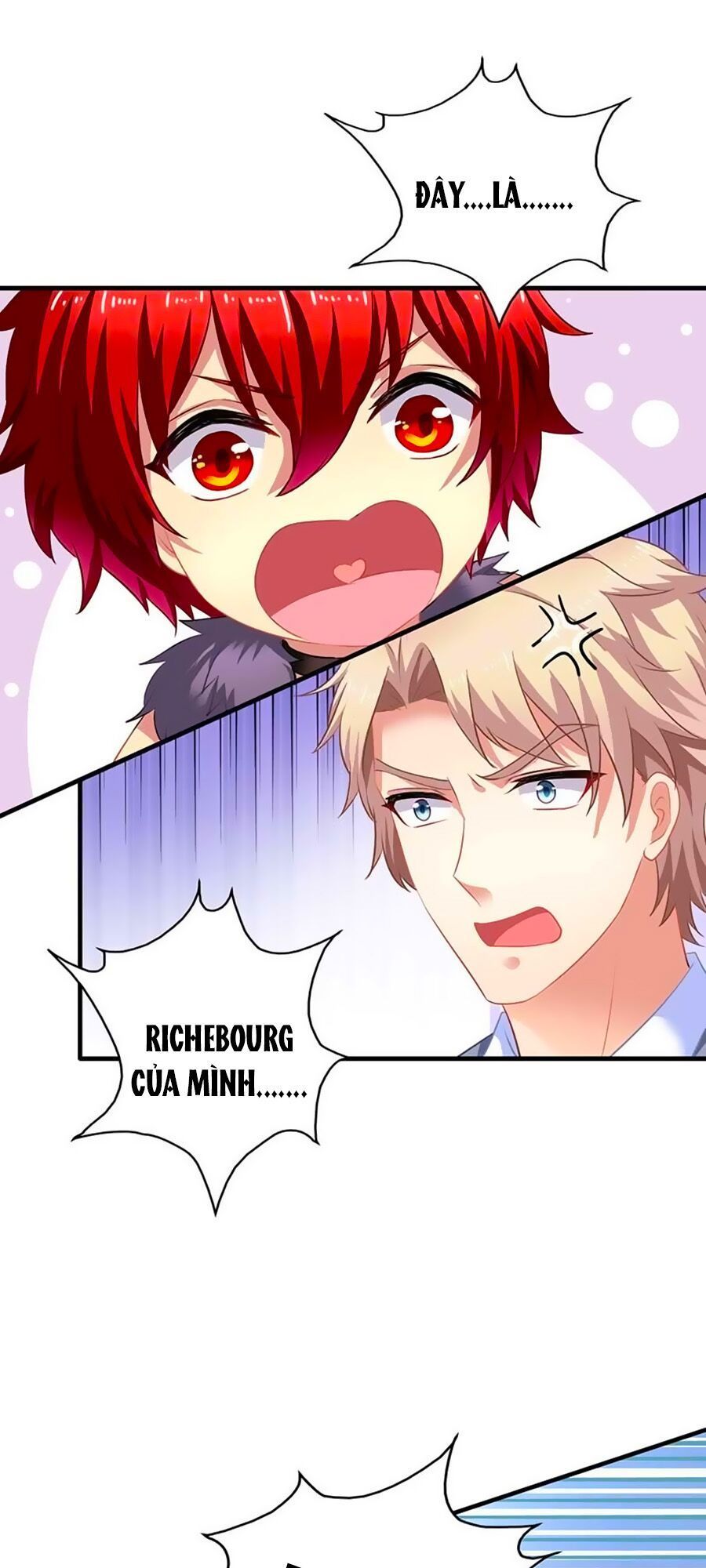 Một Thai Hai Bảo : Đưa Mami Về Nhà ! Chapter 23 - Trang 2