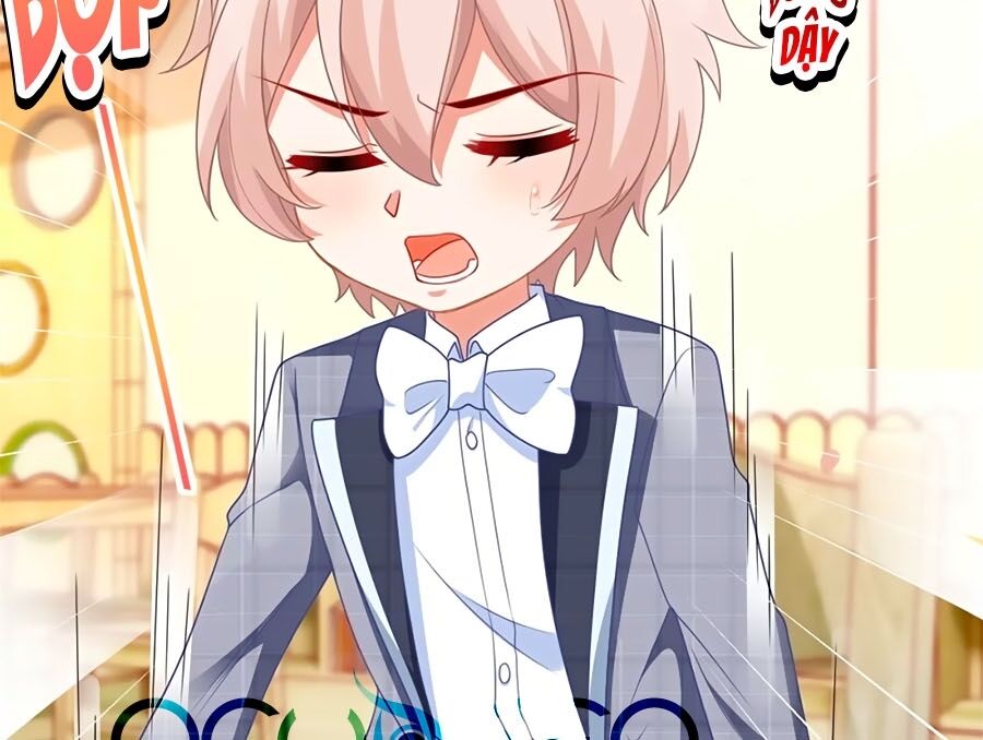 Một Thai Hai Bảo : Đưa Mami Về Nhà ! Chapter 238 - Trang 2