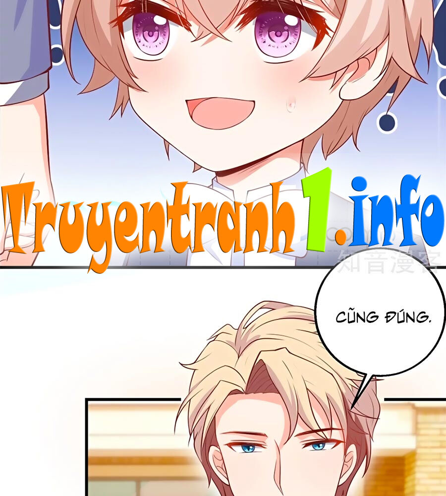 Một Thai Hai Bảo : Đưa Mami Về Nhà ! Chapter 239 - Trang 2