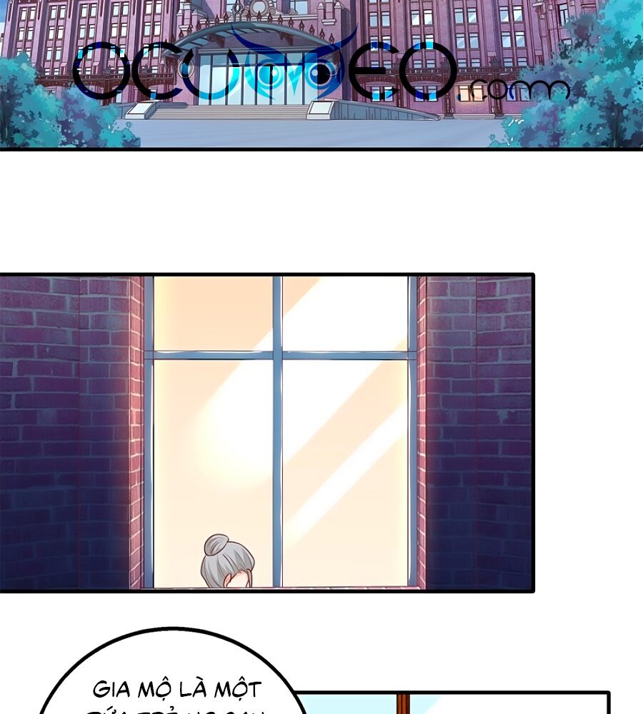 Một Thai Hai Bảo : Đưa Mami Về Nhà ! Chapter 246 - Trang 2