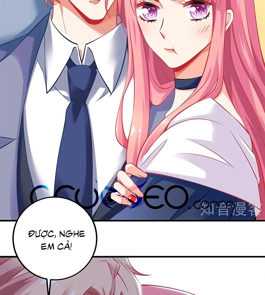 Một Thai Hai Bảo : Đưa Mami Về Nhà ! Chapter 247 - Trang 2