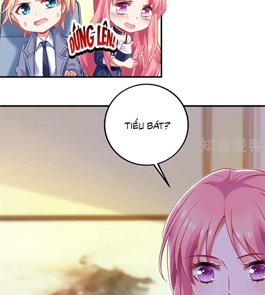 Một Thai Hai Bảo : Đưa Mami Về Nhà ! Chapter 247 - Trang 2