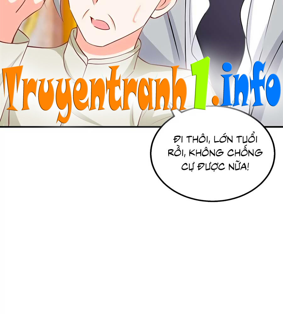 Một Thai Hai Bảo : Đưa Mami Về Nhà ! Chapter 254 - Trang 2