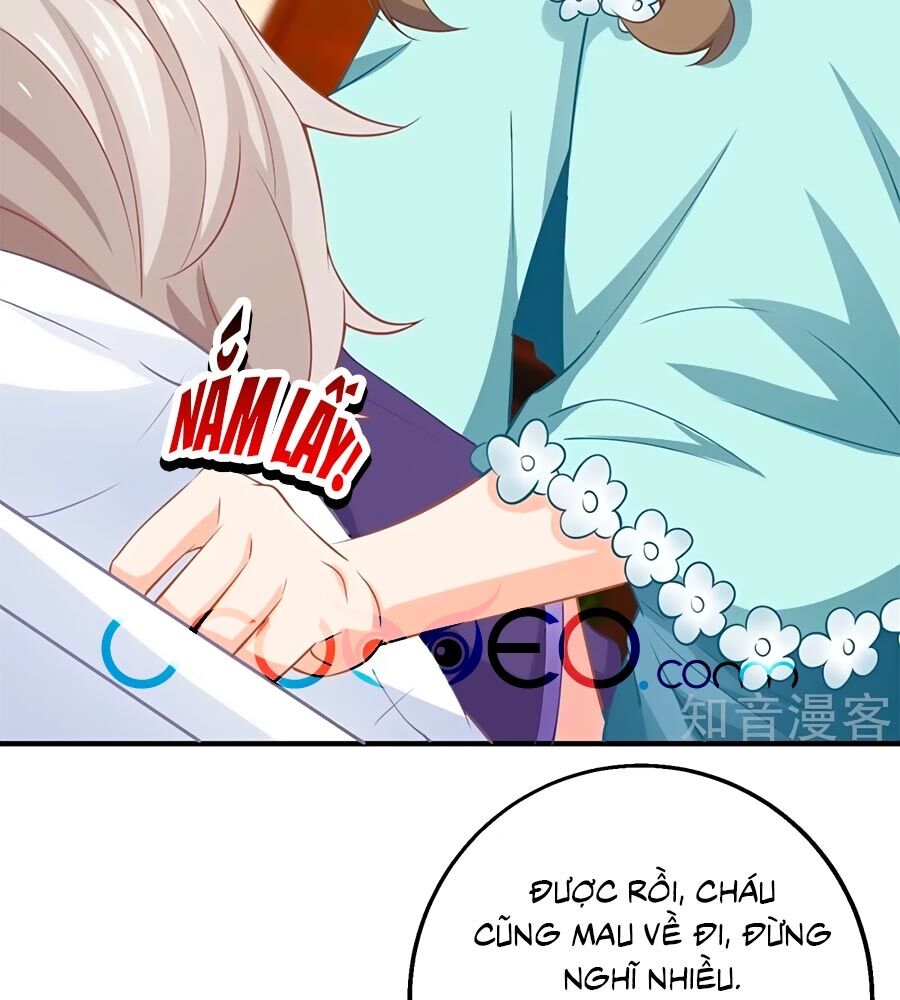 Một Thai Hai Bảo : Đưa Mami Về Nhà ! Chapter 255 - Trang 2