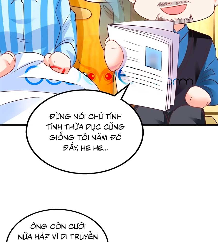 Một Thai Hai Bảo : Đưa Mami Về Nhà ! Chapter 266 - Trang 2