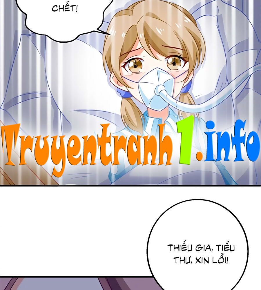 Một Thai Hai Bảo : Đưa Mami Về Nhà ! Chapter 276 - Trang 2