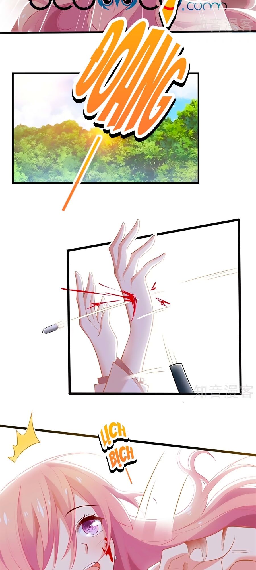 Một Thai Hai Bảo : Đưa Mami Về Nhà ! Chapter 283 - Trang 2